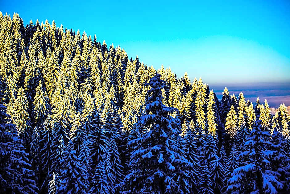 Sunny Hills Ski&Wellness