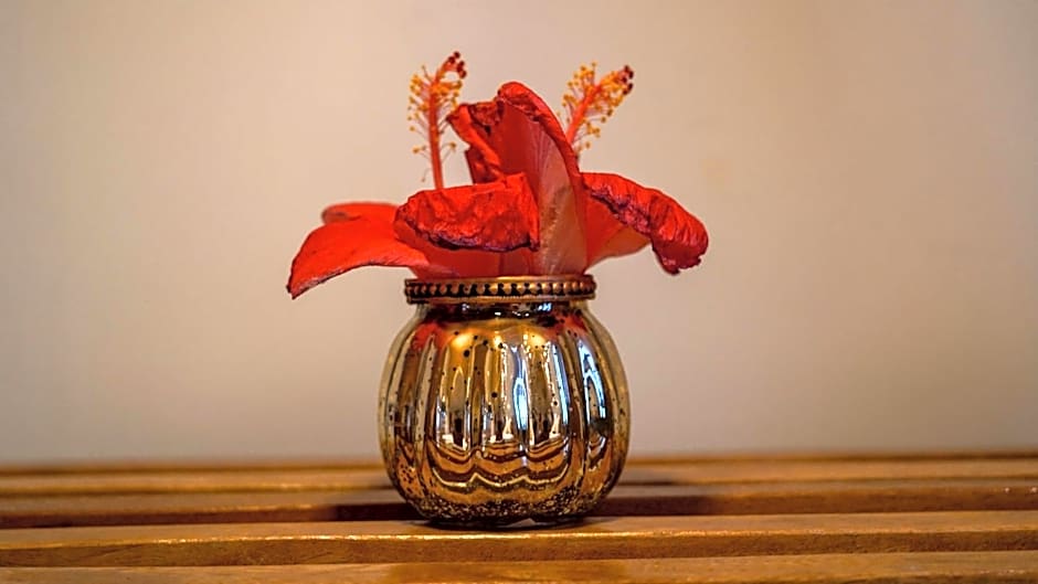 Pousada Brisas de Sagi