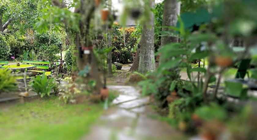 Baan Bua Guest House