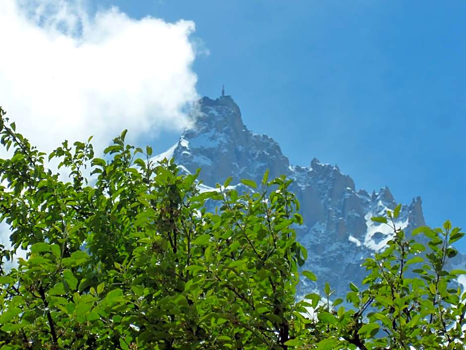 Aiguille du Midi