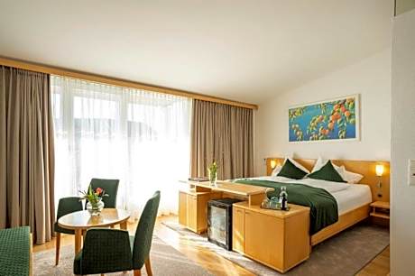 Double Room with Terrace Single Use