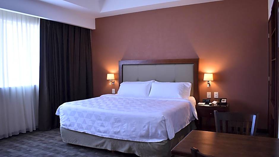 Holiday Inn Leon Plaza Mayor By IHG