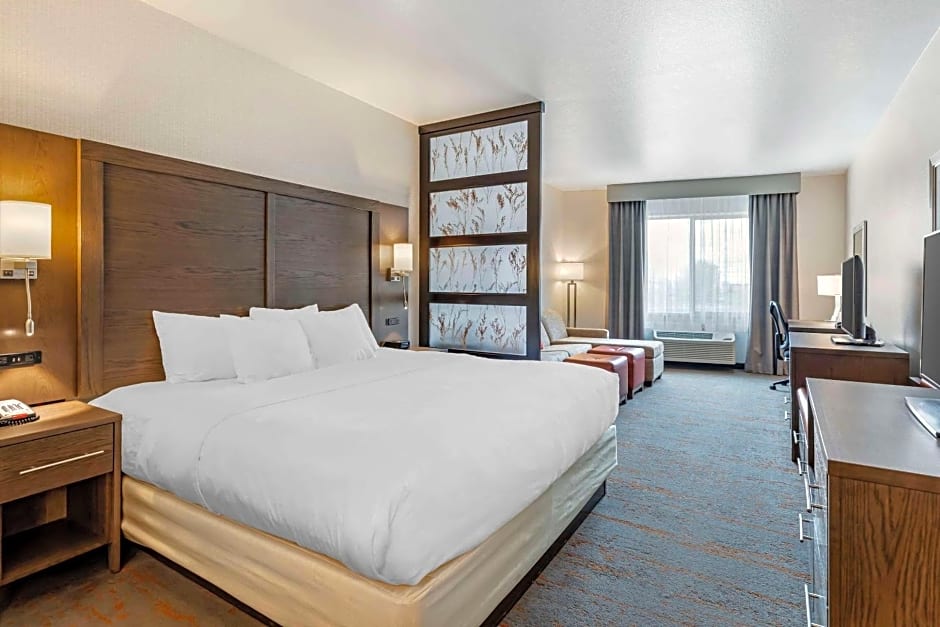 Comfort Inn & Suites Brighton Denver NE Medical Center