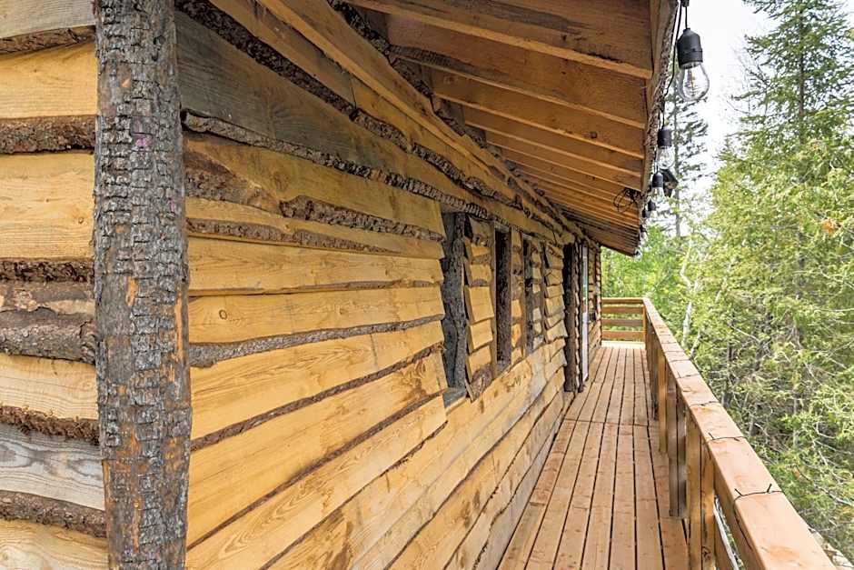 Entre Lemoine et l'arbre