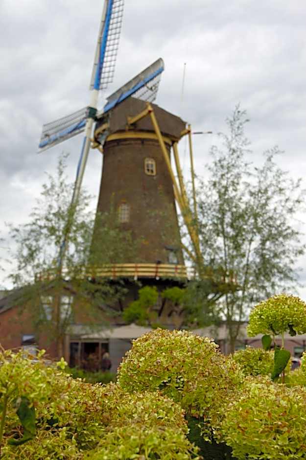 Vertoeven bij Verhoeven