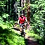 Holiday Inn Express Hotel & Suites Fraser Winter Park Area by IHG