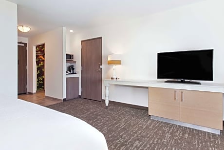 1 King Mobility/Hearing Accessible W/ Bathtub