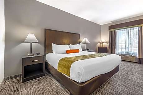 King Room with Roll-In Shower - Mobility Access