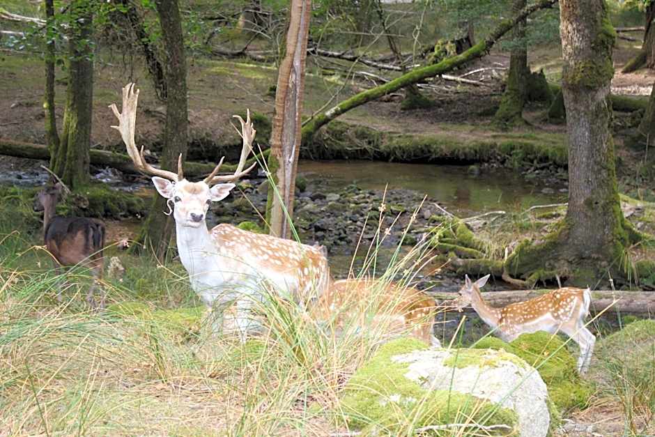 Auberge de la Normandie