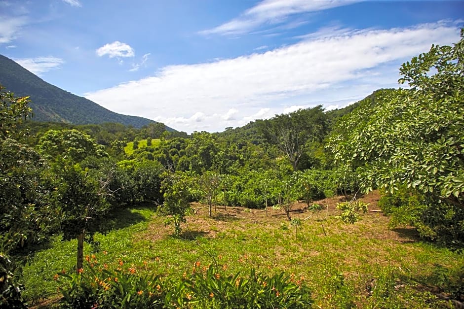 Oaxaca Jungle Cabins