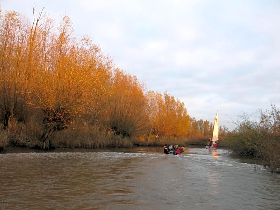 Bed and Breakfast De Biesbosch - in 't Riet