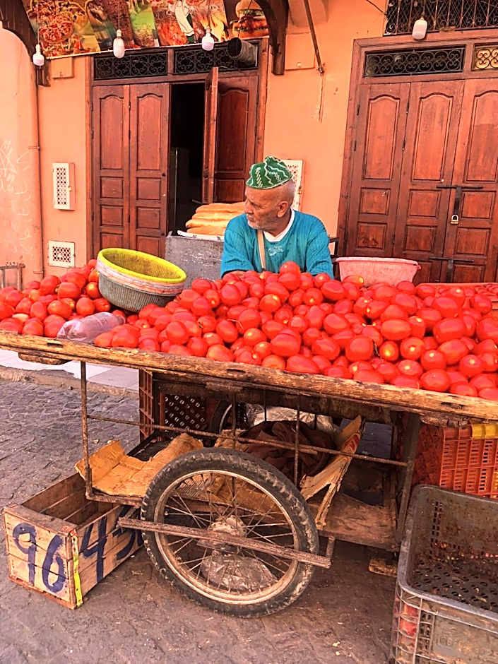 Riad ABBASSIA Marrakech - Authentic Medina Experience