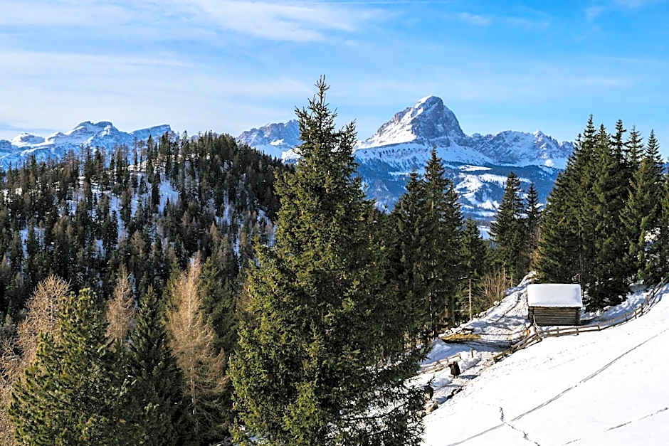 Alpine Hotel Gran Foda'