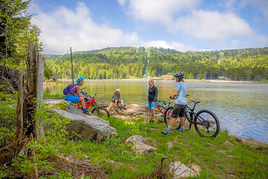 Allegheny Spring 239 KING, bed/Ski-In, Out/Pool & Hot Tub