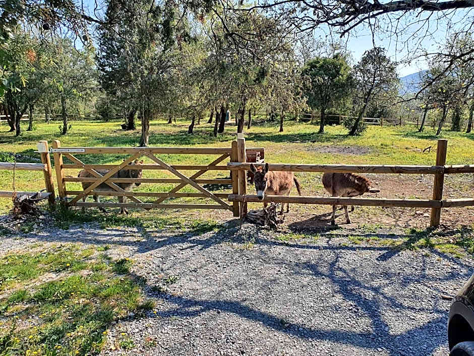 Suite Nid d'Amour et Spa privatif