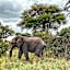Foresight Eco Lodge & Safari