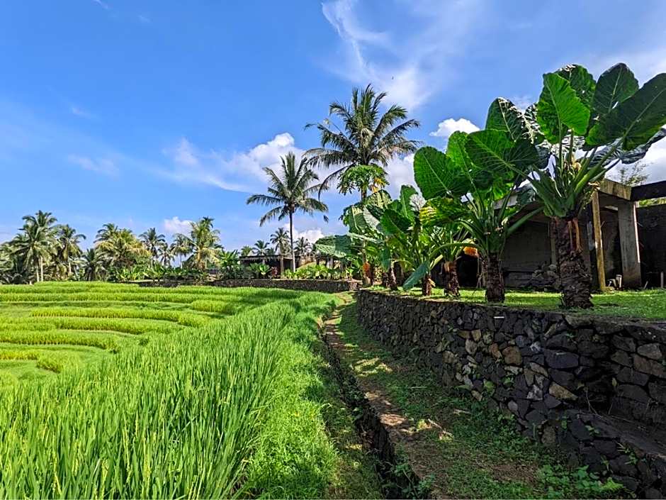 Puri Dajuma Terrace Eco Lodge & Spa