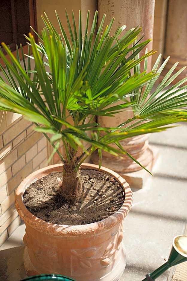 Hotel Schloss Neetzow