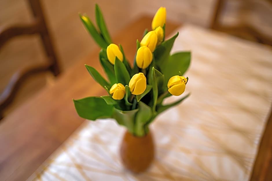 Eko domki MaMastra Szaflary