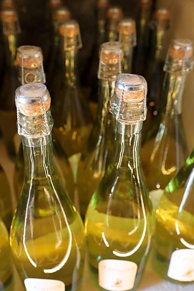 Villa Mojana Bellagio