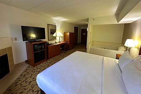 1 King Bed One-Bedroom Deluxe Suite Non-Smoking