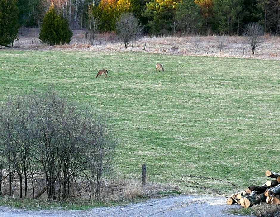 Our Valley View Bed & Breakfast