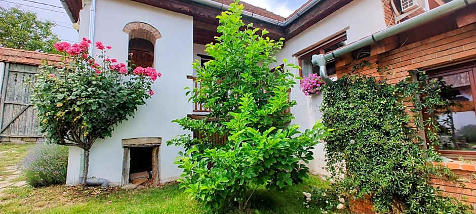 Reichau Transilvania