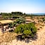 Antica Masseria Ficazzana - Tenuta