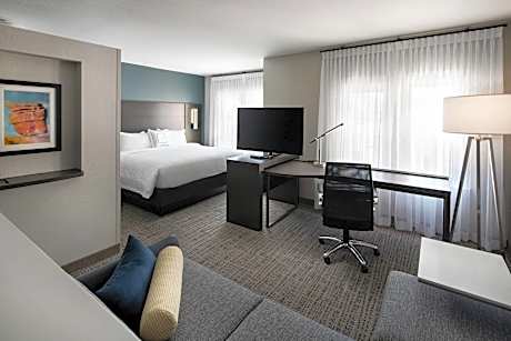 Studio, 1 King Bed with Sofa bed (1 King Bed and 1 Double Sofa Bed)