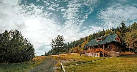 One-Bedroom Premier Apartment