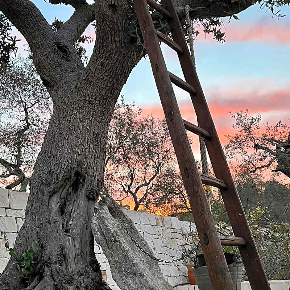 Quei Trulli Divini – Martina Franca, OK