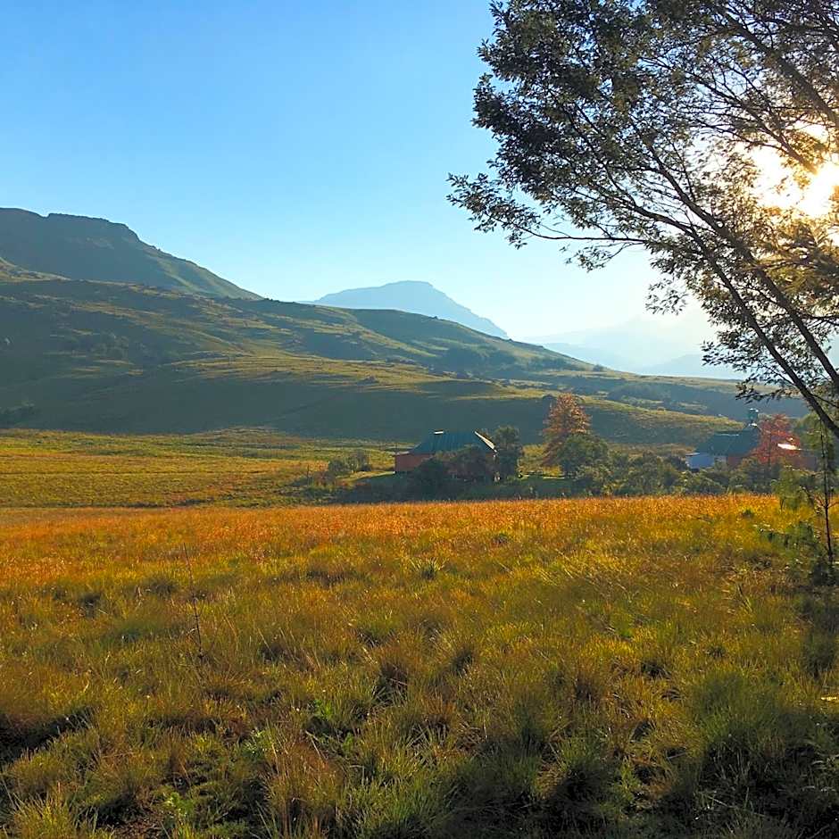 Sani Lodge & Cottages