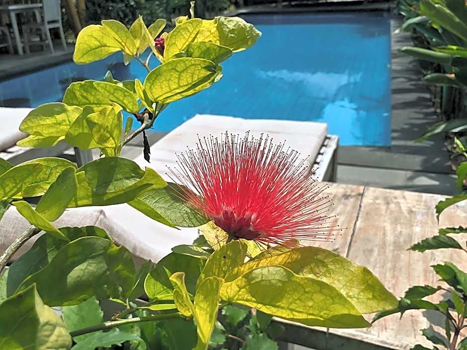 Gili Matiki