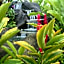 Volcano Lodge, Hotel & Thermal Experience
