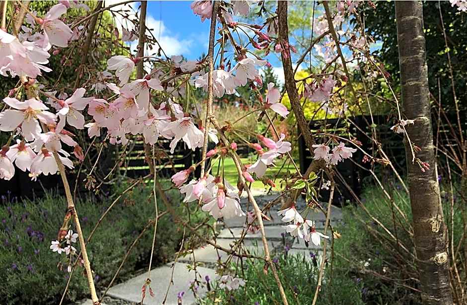 Treghan Luxury Lodge