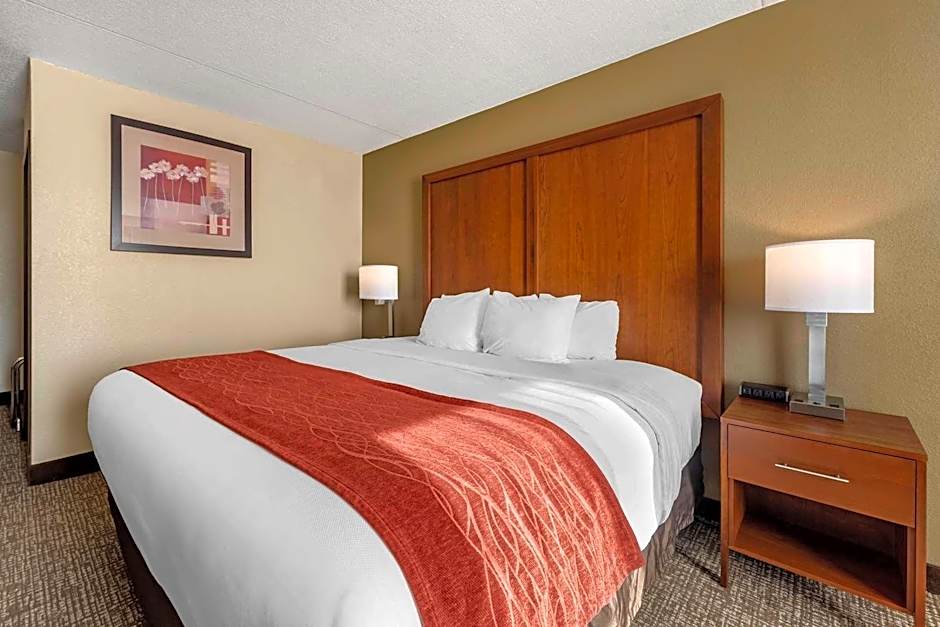 Comfort Inn & Suites Triadelphia - Wheeling