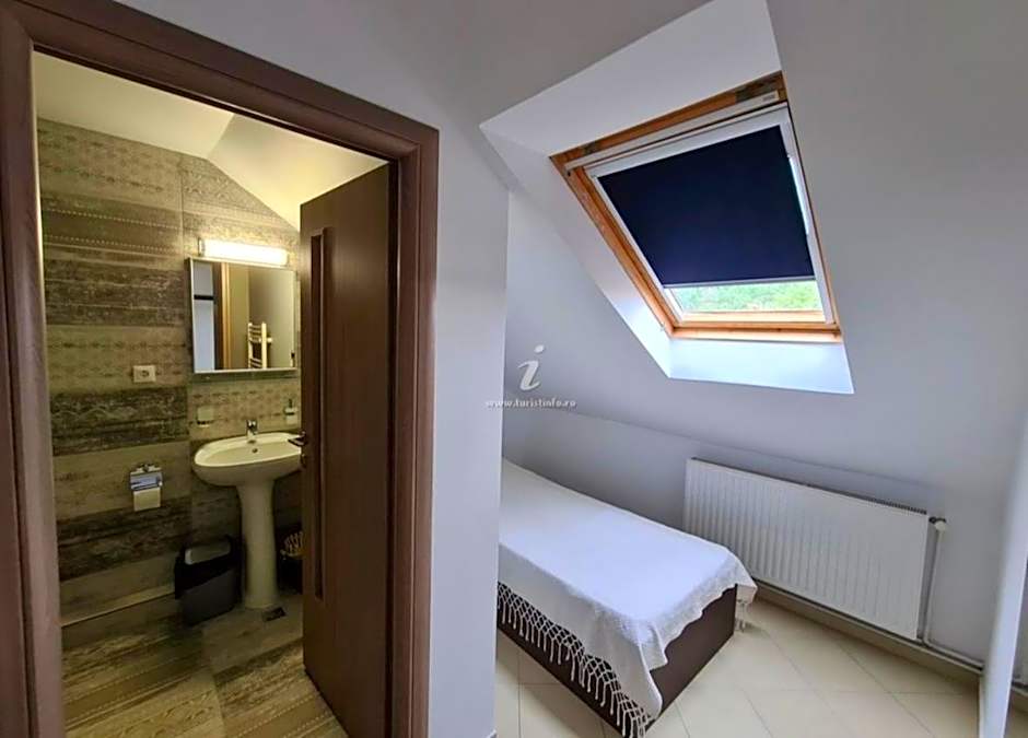 Vila Dini(La Rogojini)