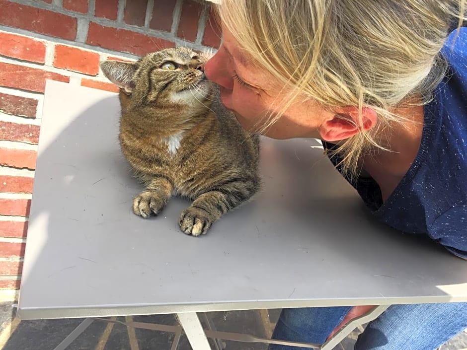 Les Chambres de Paule