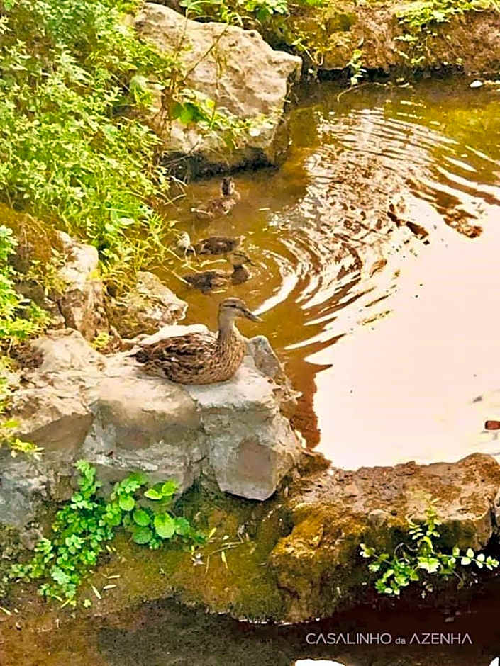 Casalinho da Azenha - Charm House