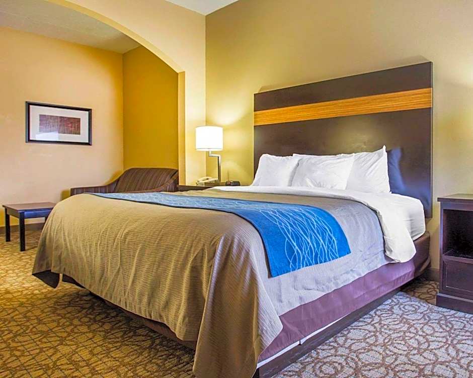 Comfort Inn & Suites At Stone Mountain
