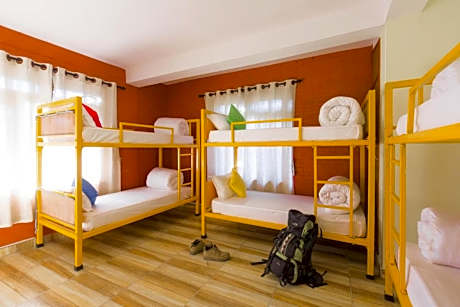 Bed in 6-Bed Mixed Dormitory Room