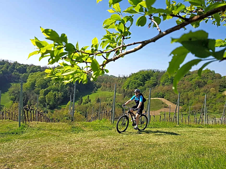 Winery, Restaurant & Pension Vuglec Breg