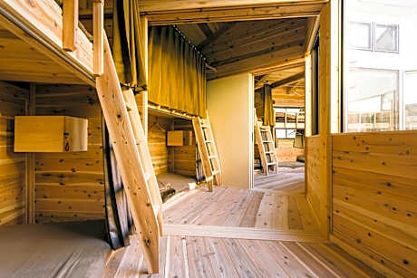 Bunk Bed in Mixed Dormitory Room