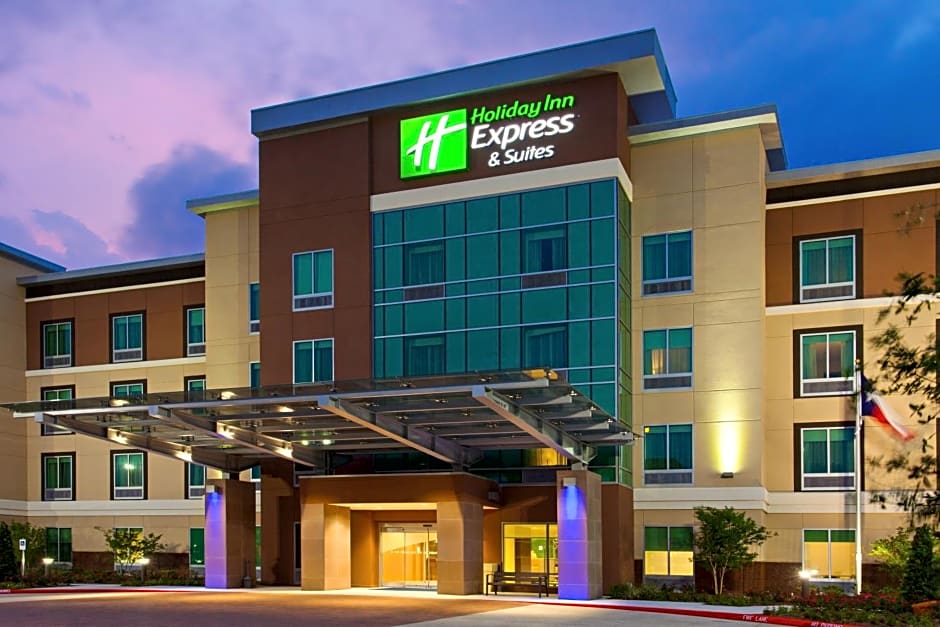 Holiday Inn Express & Suites Houston S-Medical Ctr Area, an IHG Hotel By IHG