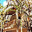 Hotel Boutique Refugio 41