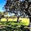Herdade do Burrazeiro Turismo Rural no Alentejo