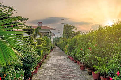 CORBETT SOLITAIRE RESORT