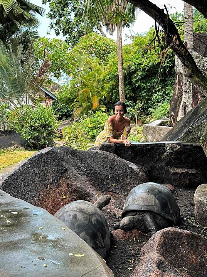 Hotel Chateau St Cloud