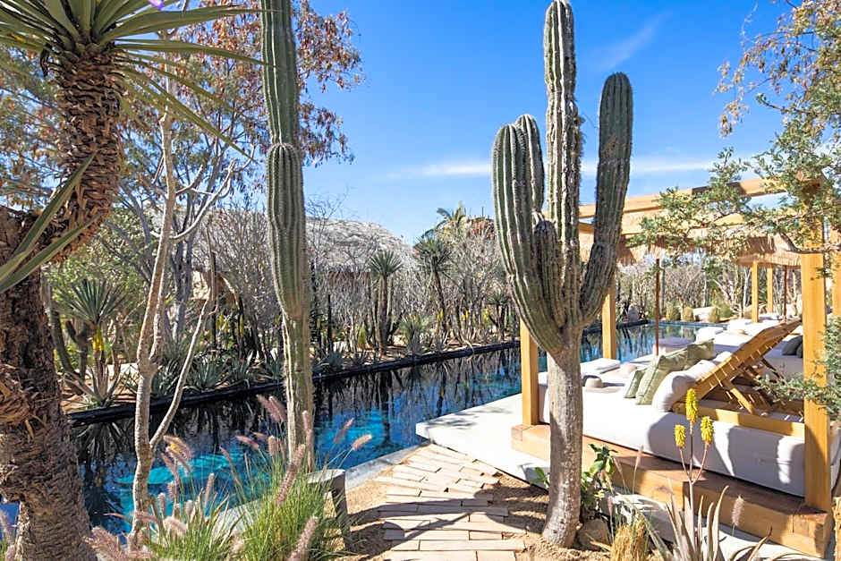 El Perdido Desert Dream- Adults Only