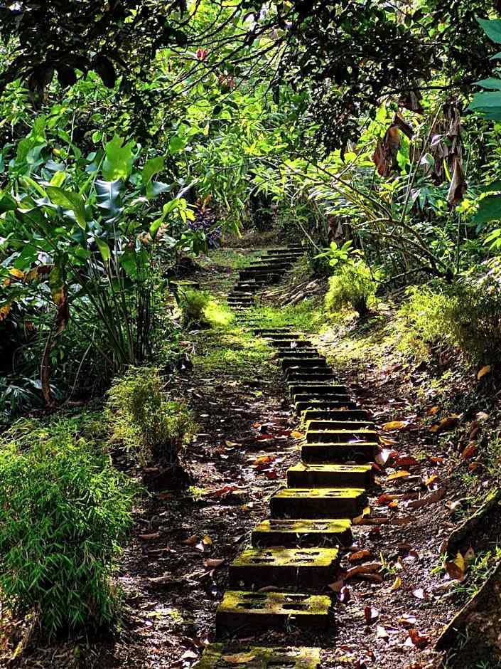 Finca Luna Nueva Lodge